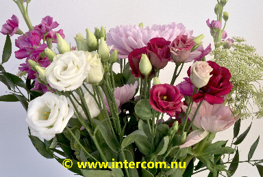 054_2026-01-14 16-00-50 (A,R8,S4)_01_4333